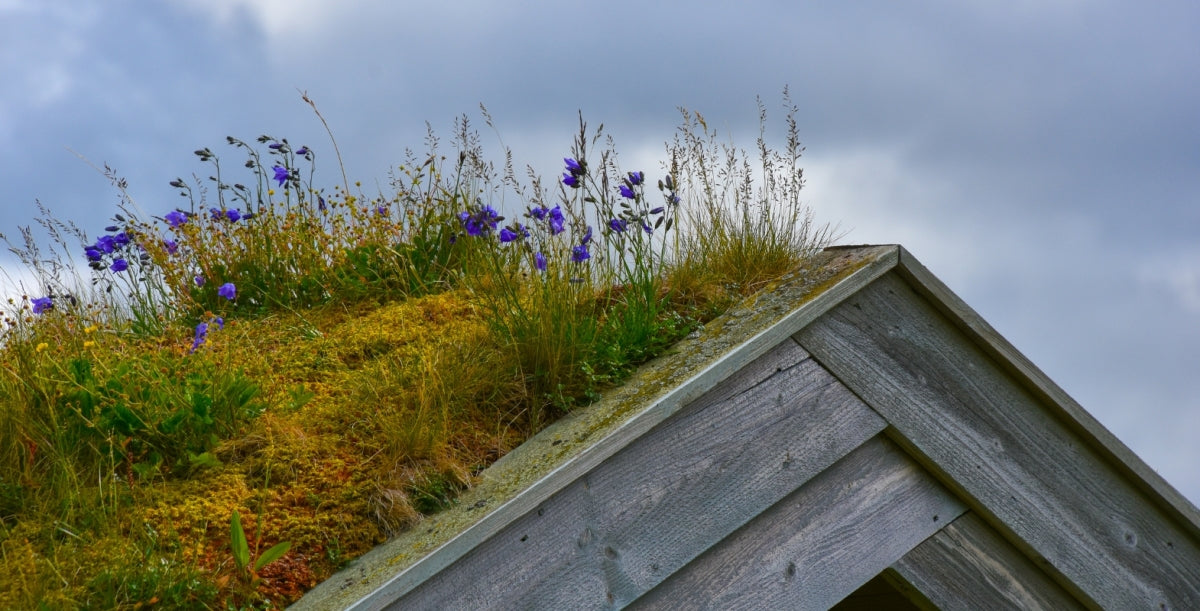 Hvordan legge inn vann på hytta: En komplett guide