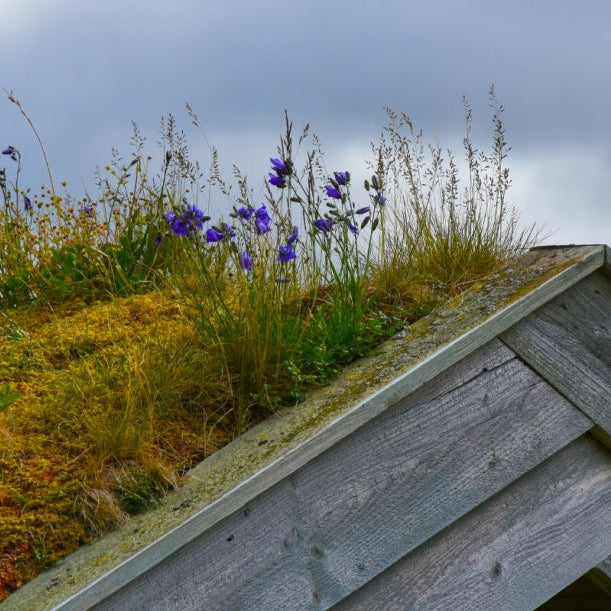 Hvordan legge inn vann på hytta: En komplett guide