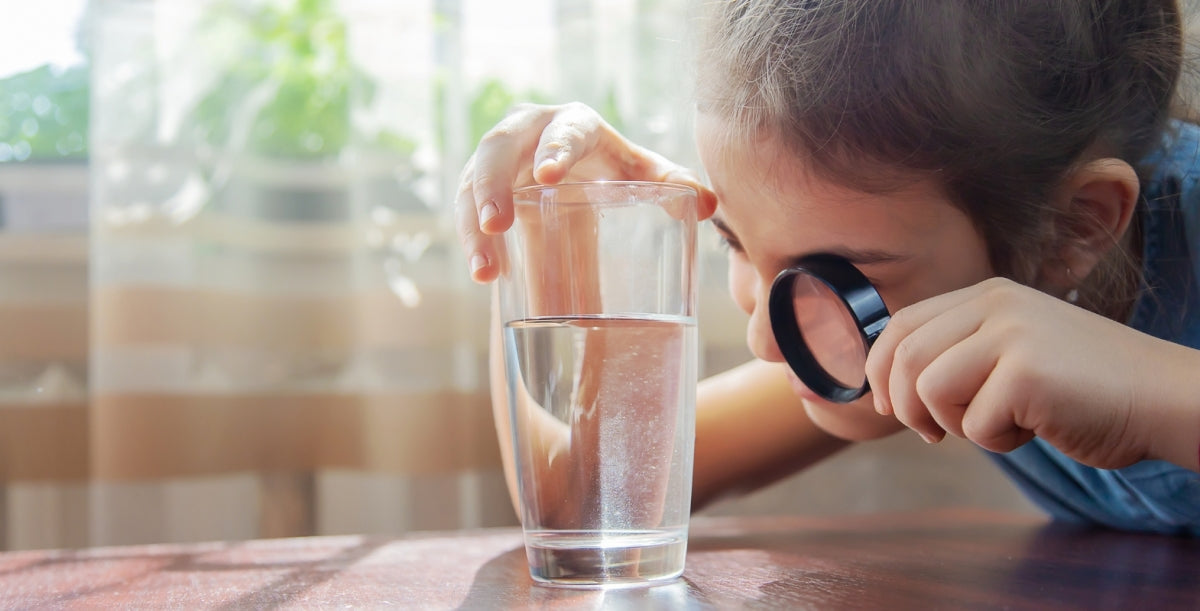 Slik analyserer du vannet ved hjelp av sansene