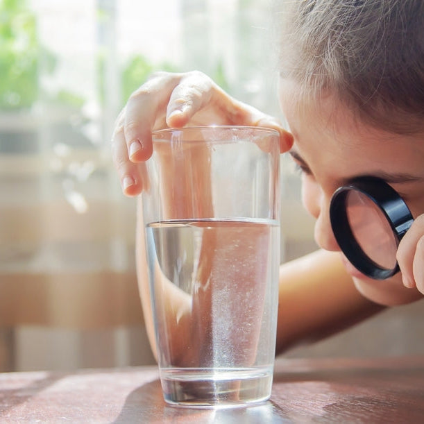 Slik analyserer du vannet ved hjelp av sansene