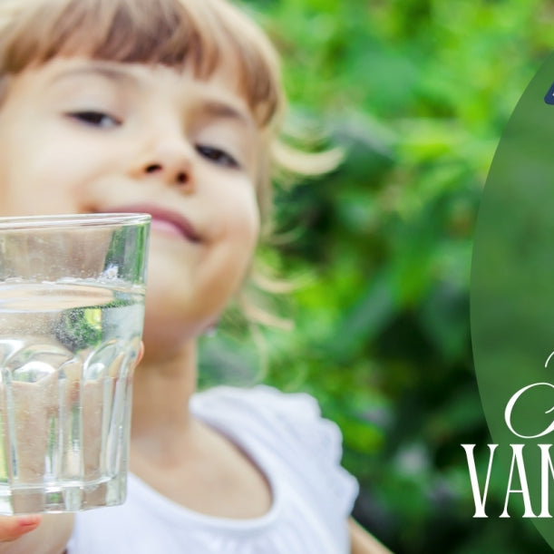 Det beste vannfilteret til hjem og hytte