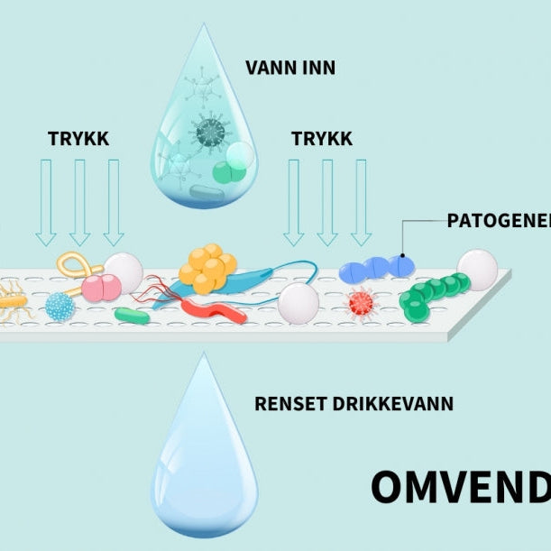 Hva er omvendt osmose?