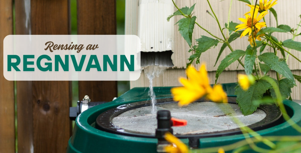 Regnvann som drikkevann- er det trygt?