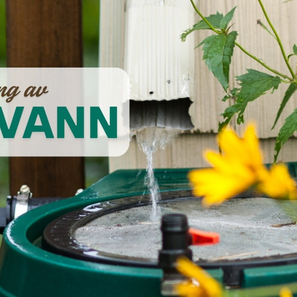 Regnvann som drikkevann- er det trygt?