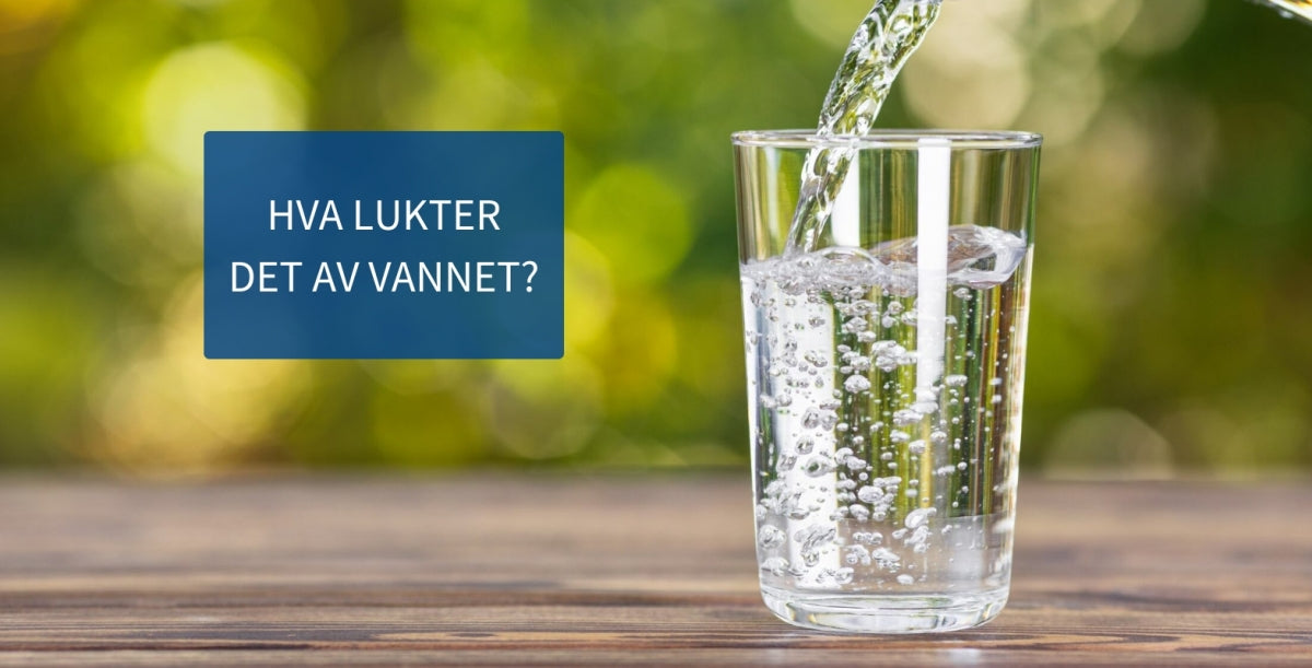 Vannet mitt lukter - hva kan det være?